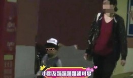 葛优老师爆料视频在线观看,揭秘幕后的精彩瞬间