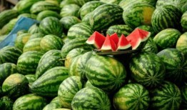 吃瓜爆料杭州小网红,揭秘娱乐圈幕后真相