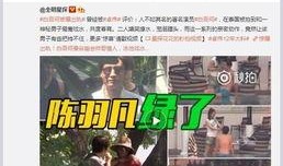港媒爆料蔡天风视频,揭秘神秘人物真实身份