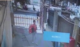 哈尔滨大妈爆料视频,揭露城市生活背后真相