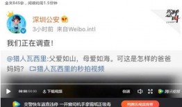 深圳小姑娘爆料视频播放,揭秘背后真相