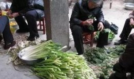 凉山吃瓜网红事件,揭秘网络舆论背后的真相与反思