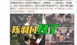 小三出轨爆料视频,一场家庭伦理的悲剧演绎