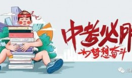 深圳猫租客最新爆料信息,最新租房市场动态与趋势分析