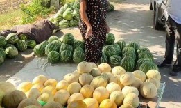 路边摊免费吃瓜,街头美食盛宴等你来尝