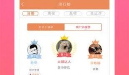 爆料八卦视频下载安装,八卦视频背后的下载安装真相