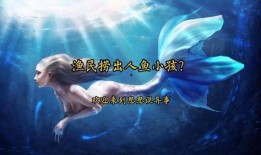 美人鱼出场爆料视频在线观看,水下奇幻世界，美人鱼公主惊艳亮相