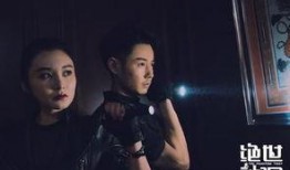 绝世神偷在线观看高清,高清盛宴，盗影追踪