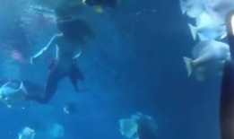 美人鱼出场爆料视频在线观看,水下奇幻世界，美人鱼公主惊艳亮相