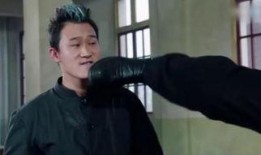 谢文东在线观看免费观看,风云再起，免费观看，重温经典