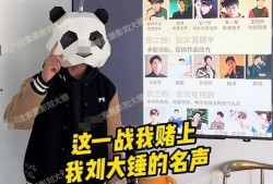 狗仔爆料刘大锤视频,狗仔爆料背后的真相揭秘