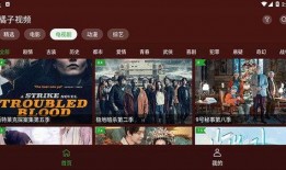 爆料八卦视频下载安装,八卦视频背后的下载安装真相