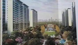 龙港草根新闻爆料,揭秘基层生活点滴