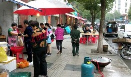 石家庄早市爆料事件视频,视频揭露惊人真相，引发社会关注