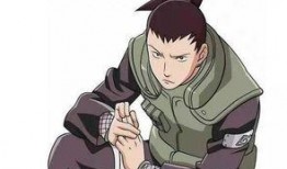 鹿丸小豪爆料视频,揭秘视频背后的精彩故事