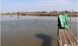 鱼塘爆料大全视频最新