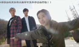 武林学校在线观看全集,在线观看全集，揭秘江湖传奇