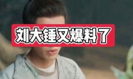 刘大锤八卦爆料视频播放,八卦爆料视频播放背后的惊人真相