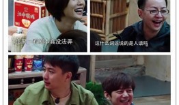 葛优老师爆料视频在线观看,揭秘幕后的精彩瞬间