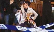 古灵精探在线观看,探秘奇案，笑料百出，在线观看不容错过