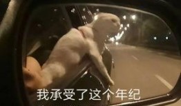 在线观看包片,揭秘在线包片观影新潮流