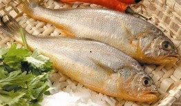 小黄鱼爆料新闻报道内容,揭秘新闻报道背后的真相