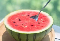 快乐网红吃瓜图片,快乐氛围满满！