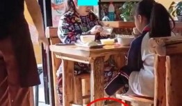 哈尔滨大妈爆料视频,揭露城市生活背后真相