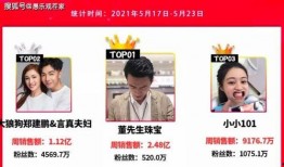 海归网红爆料视频播放在线观看,揭秘海外生活幕后真相