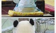 娱乐圈吃瓜群众是谁呀,揭秘那些热衷于八卦的明星粉丝群体
