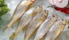 小黄鱼爆料新闻报道内容,揭秘新闻报道背后的真相