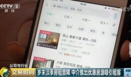 深圳猫租客最新爆料信息,最新租房市场动态与趋势分析