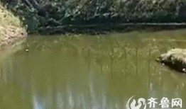 鱼塘爆料大全视频最新