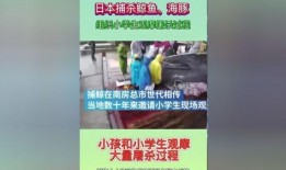 正能量视频今日热点爆料,今日热点爆料，传递温暖与希望