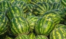 娱乐吃瓜酱广西,揭秘广西娱乐圈的那些事儿