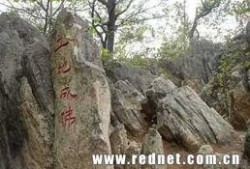 八公山新闻爆料事件,真相与舆论的交织