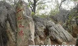 八公山新闻爆料事件,真相与舆论的交织