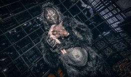 原始兽性1在线观看