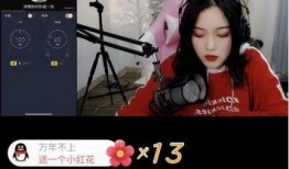 网友露脸爆料五嫂视频网站,网友爆料露脸瞬间引发热议