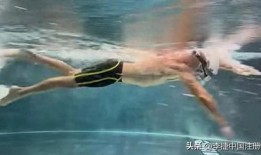 仰泳视频在线观看,仰泳技巧视频深度解析