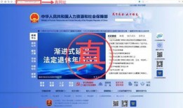福建新闻热点爆料平台,揭秘最新爆料背后的故事