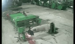 网友爆料鸭肠事件视频大全,网友爆料揭露惊人真相