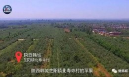 韩城真实爆料视频大全,真实爆料视频大盘点