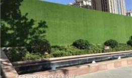 八公山新闻爆料事件,真相与舆论的交织