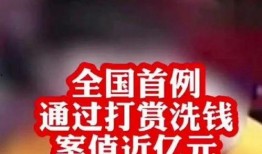 网红洗钱新闻爆料,揭秘网络红人背后的非法金融交易