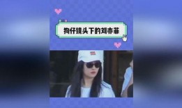 娱乐吃瓜日记,吃瓜日记背后的精彩故事