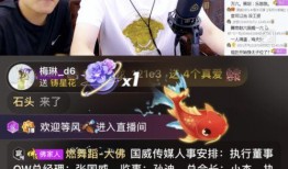 八卦爆料利哥视频大全,利哥视频大全背后的精彩故事