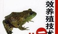 牛蛙饲养爆料视频教程图片,揭秘视频教程与图片解析