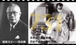731细菌在线观看,惊心动魄的在线观看之旅