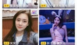 网红前妻爆料视频大全下载,揭秘娱乐圈背后的真相